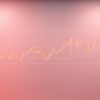 S&P 500